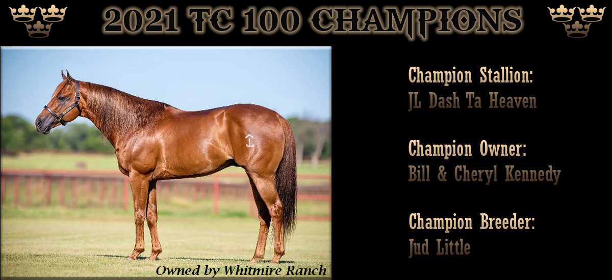 2021 TC 100 Champion Stallion